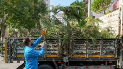 Gaziemir Belediyesi, budama çalışmaları sonucunda ortaya çıkan bahçe atıklarının cadde,