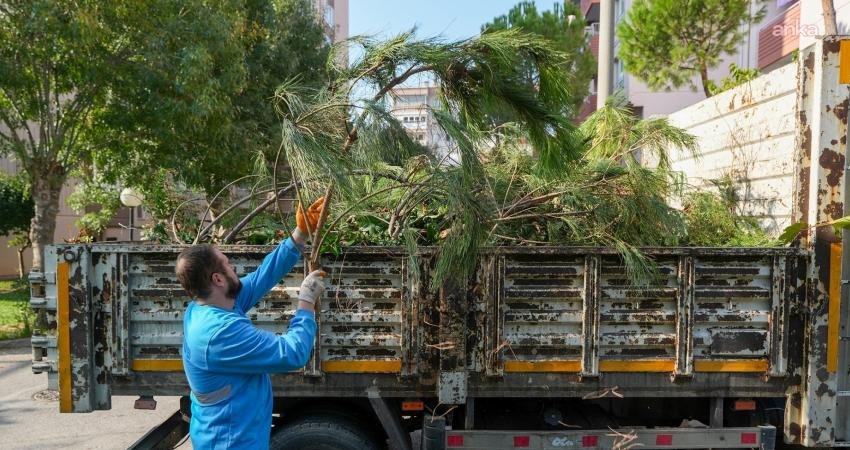 Gaziemir Belediyesi, budama çalışmaları sonucunda ortaya çıkan bahçe atıklarının cadde,