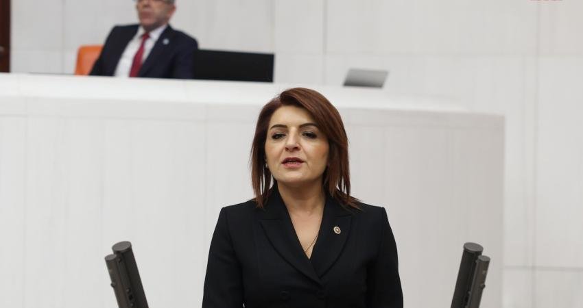 CHP Mersin Milletvekili Gülcan Kış, "Cumhuriyetin ikinci yüzyılında yurttaş üretimle