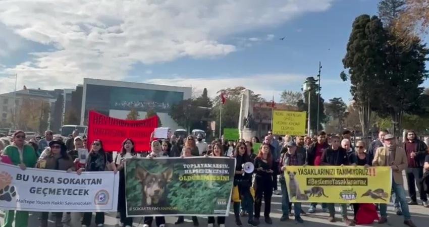 Hayvan hakları savunucuları “besleme yasaklarına” tepki gösterdi: “Yasanızı da yasaklarınızı da tanımıyoruz” Hayvan hakları savunucuları, sokakta yaşayan hayvanlara yönelik “besleme yasakları” ve