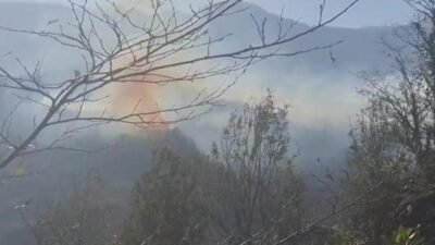 Artvin’in Hopa ilçesine bağlı Başoba Köyü’nün Kokça mevkisinde sabah saatlerinde