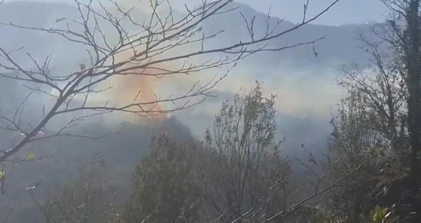 Hopa’nın Başoba köyündeki yangın kısmen kontrol altına alındı, müdahale sürüyor Artvin’in Hopa ilçesine bağlı Başoba Köyü’nün Kokça mevkisinde sabah saatlerinde