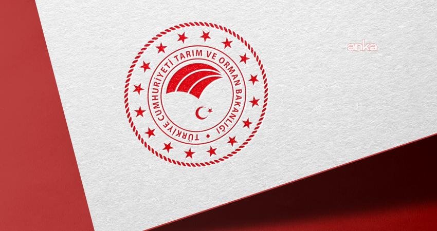 Küresel iklim değişikliği odağında su yönetimi konusunda sürdürülebilir politikalar geliştirilmesine