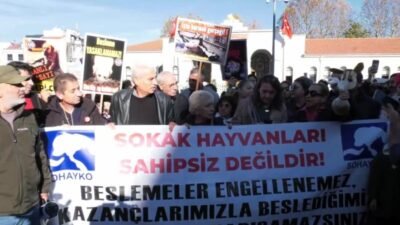 Yaşam hakkı savunucuları, İstanbul Valiliği tarafından yayımlanan sahipsiz hayvanlara yönelik