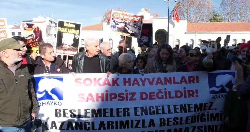Yaşam hakkı savunucuları, İstanbul Valiliği tarafından yayımlanan sahipsiz hayvanlara yönelik