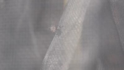 İzmir Büyükşehir Belediyesi, iklim değişikliği nedeniyle artan karasineklere karşı yoğun