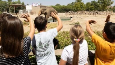 İzmir Büyükşehir Belediyesi Doğal Yaşam Parkı, ara tatil süresince binlerce