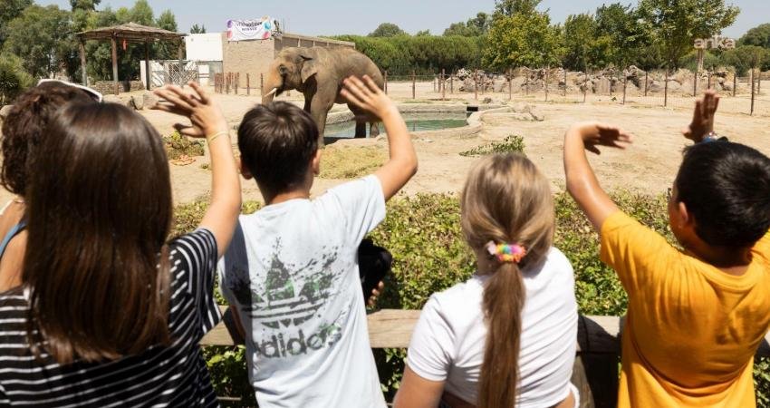 İzmir Doğal Yaşam Parkı’na ziyaretçi akını İzmir Büyükşehir Belediyesi Doğal Yaşam Parkı, ara tatil süresince binlerce