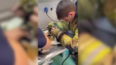 İzmir'de itfaiye ekipleri, 5 gündür kayıp olan köpeği girdiği yağmur suyu