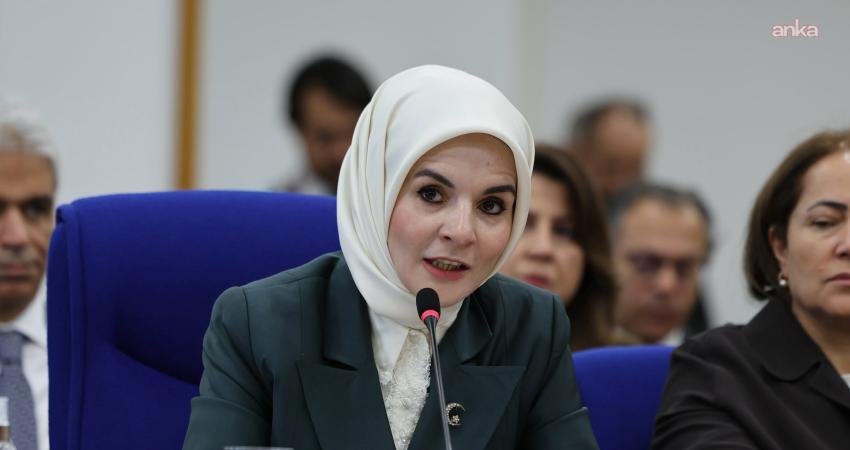 Mahinur Özdemir Göktaş: Elim kazada şehit olan pilotumuza Allah’tan rahmet, ailesine sabır diliyorum Aile ve Sosyal Hizmetler Bakanı Mahinur Özdemir Göktaş, "Orman Genel