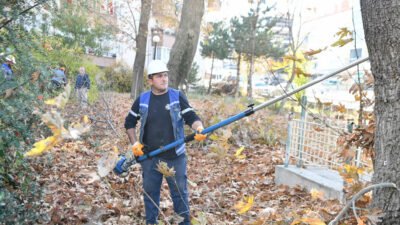 Mamak Belediyesi, ilçe genelinde ağaçların sağlıklı gelişimini desteklemek ve şehir