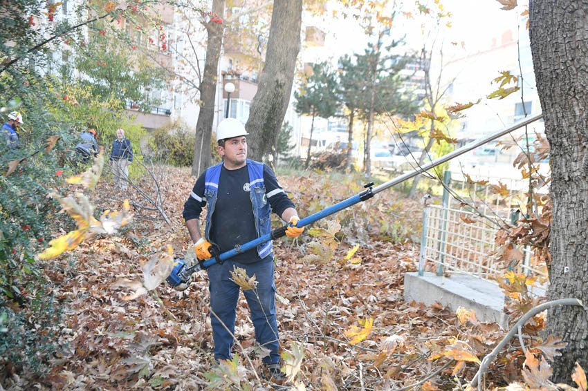 Mamak Belediyesi, ilçe genelinde ağaçların sağlıklı gelişimini desteklemek ve şehir