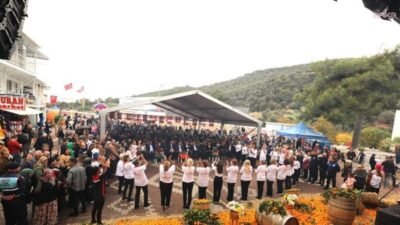 Menderes Belediyesi’nin geleneksel olarak düzenlediği Gümüldür Özdere Mandalina Festivali 14-16
