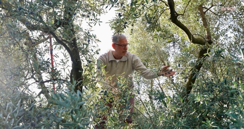 Mudanya’da zeytin hasadı sezonu başladı Mudanya Belediyesi tarafından "Birlikte Hasat Zamanı" sloganıyla düzenlenen Zeytinine Dokun
