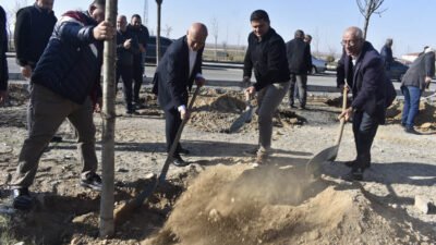 Ankara’nın Şereflikoçhisar ilçesinde Şereflikoçhisar Belediye Başkanlığı tarafından düzenlenen ağaçlandırma çalışmalarında