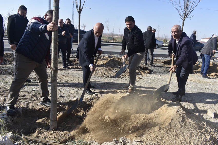 Ankara’nın Şereflikoçhisar ilçesinde Şereflikoçhisar Belediye Başkanlığı tarafından düzenlenen ağaçlandırma çalışmalarında