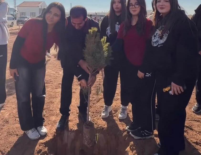  “Yemyeşil Bir Sincan” vizyonuyla çalışmalarına devam eden Sincan Belediyesi, Yenihisar