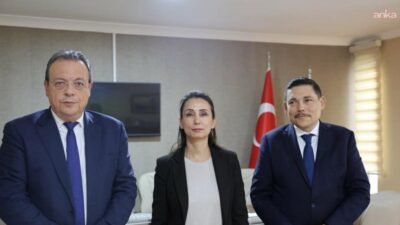 DEM Parti Eş Genel Başkanı Tülay Hatimoğulları, Syriza ve Avrupa