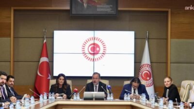 TBMM Engelli Bireylerin Sorunlarını Araştırma Komisyonu Başkanı Mehmet Kasapoğlu, "Biz tüm