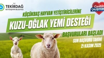 Tekirdağ Büyükşehir Belediyesi, hayvancılığı desteklemek ve üreticilerin maliyet yükünü azaltmak