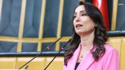 DEM Parti Eş Genel Başkanı Tülay Hatimoğulları, "Azerbaycan’dan Türkiye’ye gelmek