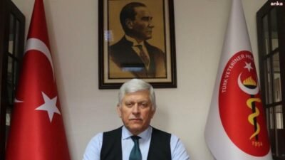Türk Veteriner Hekimleri Birliği Merkez Konseyi Başkanı Ali Eroğlu, "Aç kalmış