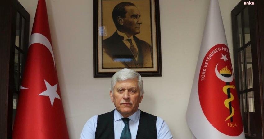 Türk Veteriner Hekimleri Birliği Merkez Konseyi Başkanı Ali Eroğlu, "Aç kalmış