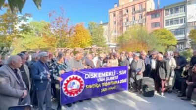 DİSK Emekli Sen Van Şubesi Rojin Kabaiş için yaptığı protestoda