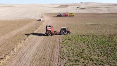 En fazla şekerpancarı üretiminin yapıldığı Yozgat’ta, pancar sökümü devam ediyor.