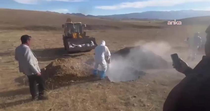 Yüksekova’da kuş gribi şüphesiyle toplanan kanatlı hayvanlar canlı gömüldü Tarım ve Orman İlçe Müdürlüğü ekipleri, kuş gribi tespit edilmesi