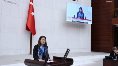 CHP İzmir Milletvekili Gökçe Gökçen, "Siyaseti siyasetçilerin değil şirket yöneticisi