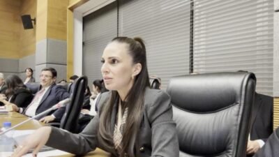 CHP Muğla Milletvekili Gizem Özcan, 11. Yargı Paketi görüşmelerinde, Mesleki