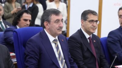 Cumhurbaşkanı Yardımcısı Cevdet Yılmaz, “2002 yılında, 56 firma ve 62