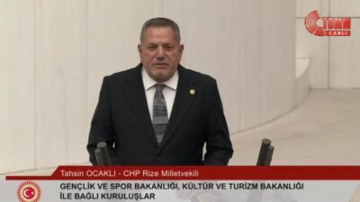 CHP Bartın Milletvekili Aysu Bankoğlu, TBMM'deki taciz iddiasına ilişkin "Meclis