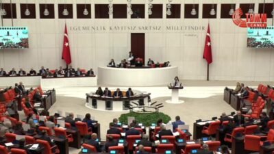 DEM Parti İstanbul Milletvekili Özgül Saki, Devlet Tiyatroları Genel Müdürü