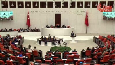 TBMM Genel Kurulu'nda konuşan İYİ Parti Samsun Milletvekili Erhan Usta, "Ticaret