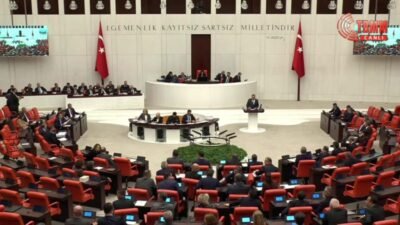 CHP Trabzon Milletvekili Sibel Suiçmez, TBMM Genel Kurulu'ndaki 2026 yılı