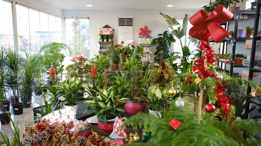 Ankara Büyükşehir Belediyesi’ne (ABB) bağlı Altınpark, Çukurambar, ATA Çiftliği, Atatürk