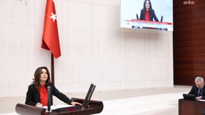 DEM Parti Grup Başkanvekili Gülistan Kılıç Koçyiğit, 2026 bütçe teklifine ilişkin,
