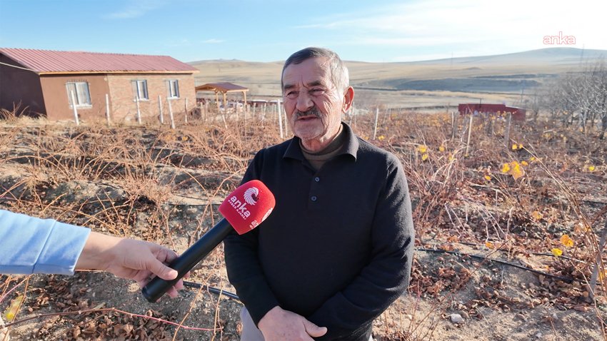 Yozgat’ta don sorası kuruyan üzüm bağları budanarak yenilenmeye çalışılıyor Yozgat’ta yaklaşık 22 bin 500 dekar alanda yapılan bağcılık, geçtiğimiz