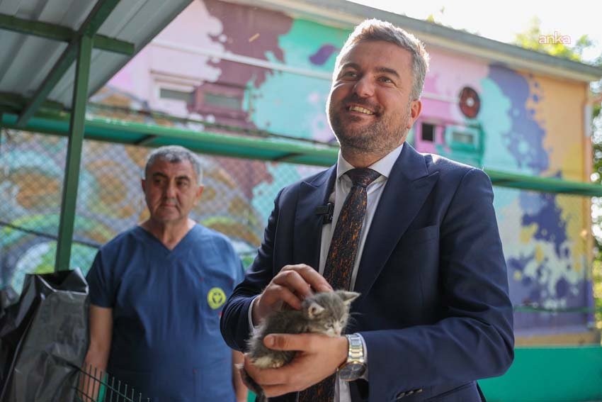 Buca’da 300 can dostu yeni yuvasına kavuştu: “Satın alma, sahiplen” çağrısı yanıt buldu Buca Belediye Başkanı Görkem Duman’ın geçen yıl duyurduğu sahiplendirme kampanyası