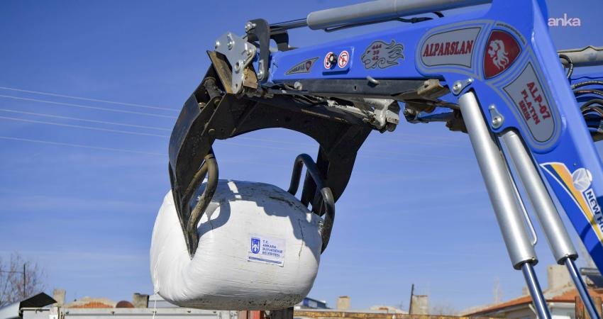 Ankara Büyükşehir Belediyesi (ABB), BAKAP’ta ürettiği mısır silajlarını hayvan yetiştiricilerine