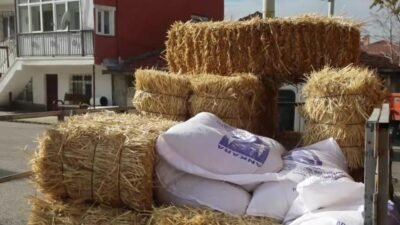 Ankara Büyükşehir Belediyesi (ABB), manda yetiştiricilerine ücretsiz kaba yem ve