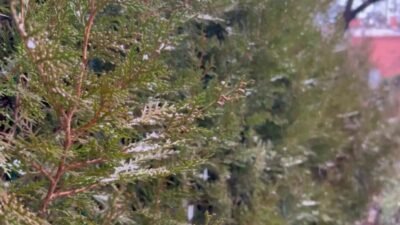 Uzun süredir yağış almayan Ankara'ya sabah saatlerinde kar yağdı. Meteoroloji,