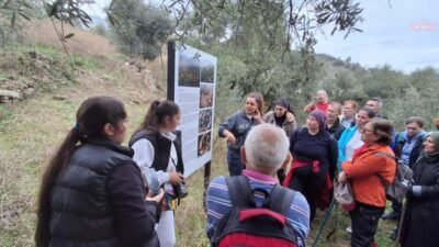 Aydın Büyükşehir Belediyesi'nin doğa yürüyüşü etkinliklerinin son durağı, Nazilli ilçesinde bulunan