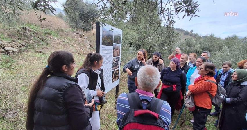 Aydın Büyükşehir Belediyesi’nin doğa yürüyüşleri devam ediyor Aydın Büyükşehir Belediyesi'nin doğa yürüyüşü etkinliklerinin son durağı, Nazilli ilçesinde bulunan
