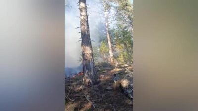 Aydın'ın Karacasu ilçesinde kış günü çıkan orman yangını ekipleri harekete