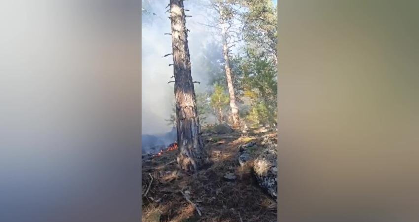 Aydın'ın Karacasu ilçesinde kış günü çıkan orman yangını ekipleri harekete