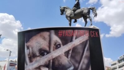 Anayasa Mahkemesi, kamuoyunda “katliam yasası” olarak adlandırılan 7527 sayılı Hayvanları