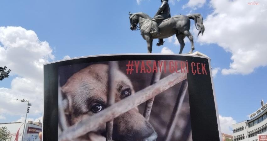 Anayasa Mahkemesi, kamuoyunda “katliam yasası” olarak adlandırılan 7527 sayılı Hayvanları